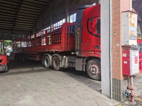 佛山運(yùn)輸?shù)椒谖骺h物流直達(dá)專線用心前行2025全 境 閃 運(yùn)保時效